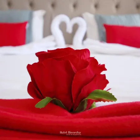 Hotel Bienestar Termas De Vizela