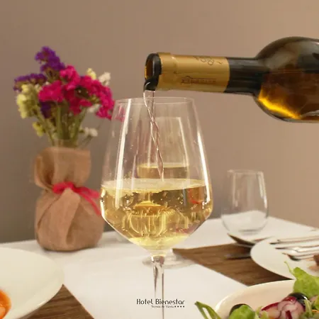 Bienestar Termas De 호텔 비젤라