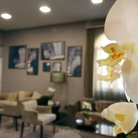 Bienestar Termas De Vizela