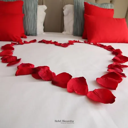 Bienestar Termas De Hotel Vizela