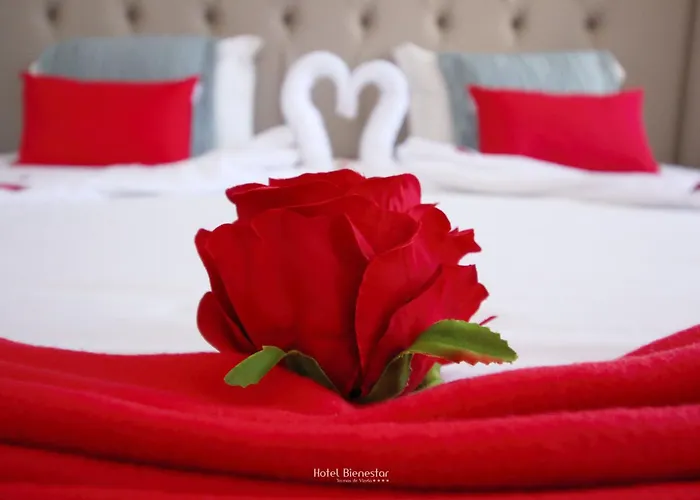 Hotel Bienestar Termas De Vizela