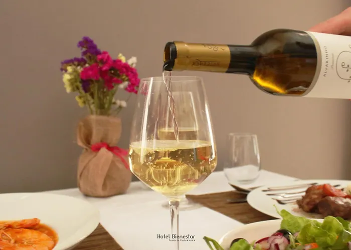 Bienestar Termas De Hotel Vizela