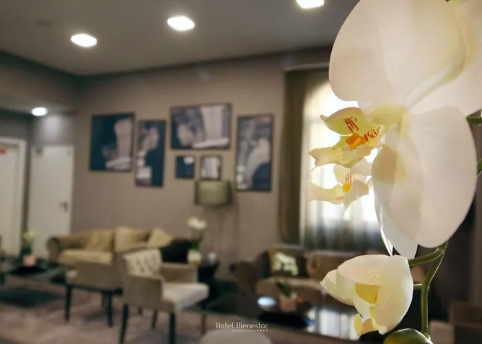 Bienestar Termas De Vizela