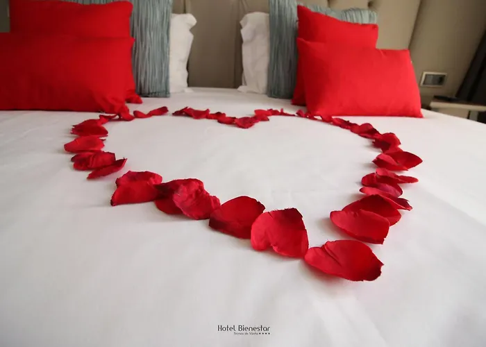 Bienestar Termas De Hotel Vizela