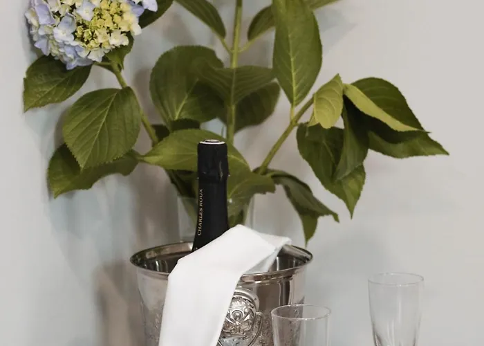 Bienestar Termas De Hotel Vizela